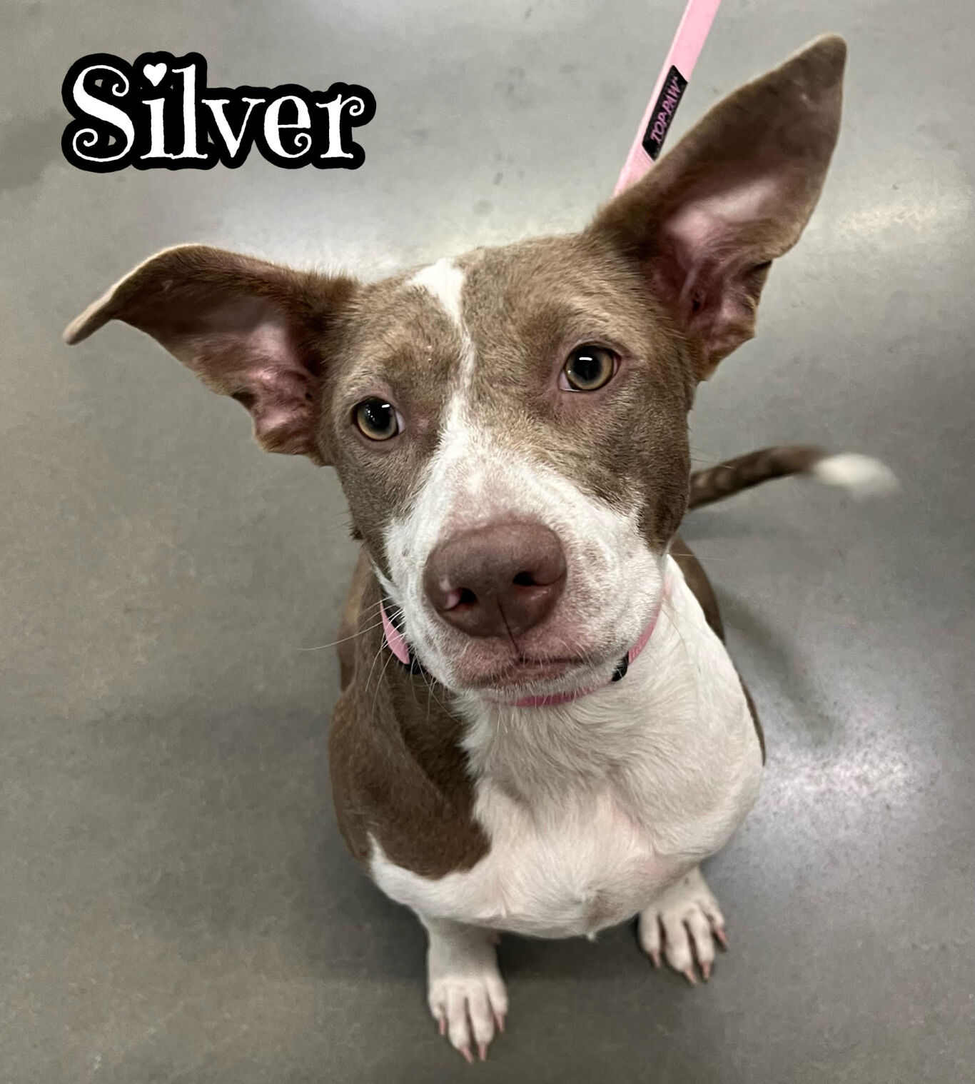 Silver